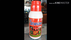 หัวปุ๋ยน้ำ ปิ๊กคอร์น สำหรับข้าว ข้าวโพด ใช้คลุกเมล็ดก่อนหยอด งอกดี โตไว หรือฉีดพ่น ต้นใหญ่ ใบเขียวเข้ม ของแท้ 100% สินค้ามาตรฐาน รับประกันคืนเงิน ส่งฟรีทั่วไทย