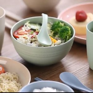 DAILY LIVING WHEAT STRAW CUP ECO FRENDLY / GELAS SERAT GANDUM ORGANIK HIGH QUALITY /GELAS TRAVEL SIZE GO GREEN