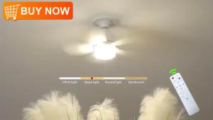 2 In1 Ceiling Fan With Remote Control Dimming Energy-saving Lighting E27 Silence Fan Lights Bedroom Live Room fan