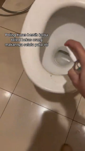 Secret Clean Toilet Seat Sanitizer Disinfectant 100ml / Perlindungan dari Kuman dan Penyakit