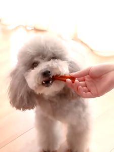 【My dog】 210g Dog Treats dog food adult for dog jerhigh snack for shihtzu dental stick for dog dentast