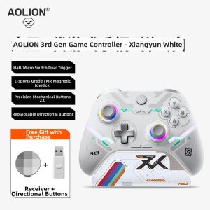 Wireless Gamepad for PC Steam Switch Bluetooth iPad Tablet with Shadow Blade Zero