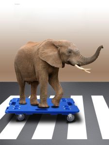 Universal Wheel Turtle Car Hand Push Truck Small Cart Pulling Cargo Mobile Flat Plate with Wheel Can Be Connected Flag Brand