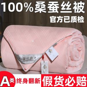 Cotton Cover Silk Comforter Gift Item Two-In-One Son-Mother Design Air Conditioned Summer Cool Long Silk Mulberry Silk