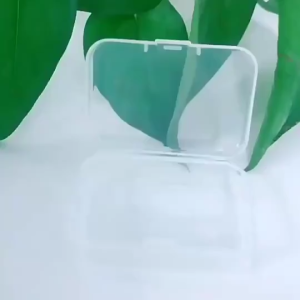 Kotak perhiasan mini 5.5mm x 5.5mm x 2mm jewerly box wadah plastik mini