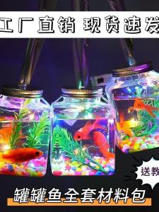 Bình Cá Bi Bong Phát Sáng Plastik Đồ Chơi Phát Sáng Đồ Chơi Giải Trí Đồ Chơi Điện Tử Đồ Chơi Phát Sáng Cho Người Lớn Và Trẻ Em