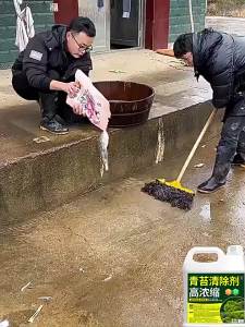 JIAKEMEI | Professional Algae & Moss Cleaner for Walls and Concrete Surfaces