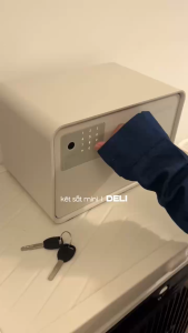 Két Sắt Mở Cửa Tự Động Deli Két Sắt Vân Tay Nhiều Màu Chống Cháy An Toàn Cho Gia Đình