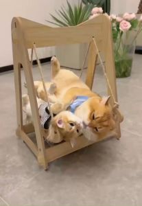 Cat Swing Bed Pet Sisal Hammock Relaxing Space Dog Waterproof Easy Cleanable Cute Katil Buaian Goyang Kucing 猫秋千摇床宠物吊床