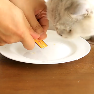 Cat Taro Creamy Lickable Puree Liquid Stick Value Pack (10g x 36) 360G Cat Treats Snack