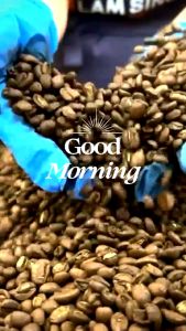 Sumatra Mandheling Grade 1(200gm/500gm) / Charcoal Roast Coffee Bean (南昇咖啡)(Single Origin)