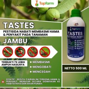 Obat Pembasmi Ulat Daun Jambu / Obat Jambu Merah / Obat Penyubur Buah Jambu / Obat Anti Ulat Pohon Jambu / Obat Pelebat Buah Jambu