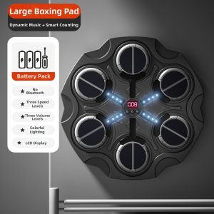 TonGJishi | Music Boxing Trainer Children Home Use
