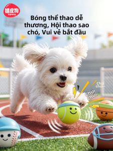 hipidog | Bóng Chơi Cho Chó Nhỏ Bằng Cao Su Có Tiếng Kêu