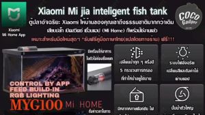 [มีประกัน-คนไทยขาย-พร้อมส่งจากไทย]  Xiaomi ตู้ปลาอัจฉริยะ Mijia Fish Tank MYG100 ตู้ปลาตั้งโต๊ะ 21 นิ้ว  ปรับไฟหลายสี มีเครื่องให้อาหารในตัว มีปั๊มออกซิเจนให้แล้ว เชื่อมต่อและควบคุมผ่านแอพได้ แถมฟรีหัวแปลงปลั๊กไทย [เชื่อมแอป Mi Home-เติมน้ำ-ใส่ปลา-ได้เลย]