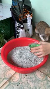 Cát vệ sinh cho mèo Happy Cat 10L - 6 mùi - Tiệm Mèo Moa