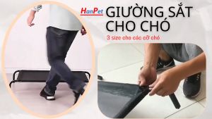 Doremiu - Giường cho chó mèo có thể gấp gọn- Giường sắt chó