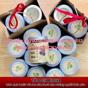 Tỏi đen cao cấp tỏi đen cô đơn 1 nhánh ủ thảo dược lên men tự nhiên 60 ngày Nature Labs không chất bảo quản Hộp 250g