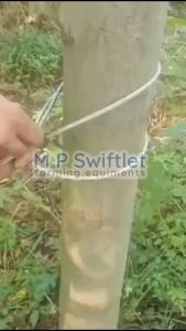 Stainless Steel Spring Trap for outdoor/garden/orchard