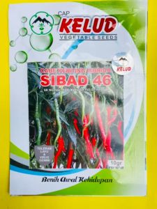 Benih Cabe Keriting SIBAD 46 Hibrida isi 10gr dari KELUD MANTAB
