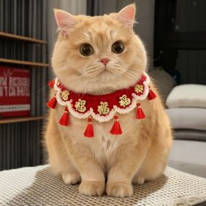 JIFANPAUL | Festive New Year Pet Collar
