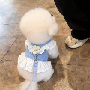 Sweet Adjustable Vest Leash for Small Dogs