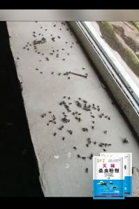 Hotel special mosquito fly outdoor King fly long-term odorless spray insecticide powder