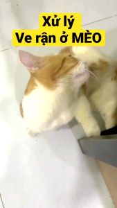 Lược Chải Ve Rận Bọ Chét Răng Nhỏ Dành Cho Chó Mèo - Lược Gỡ Rối Lông Thú Cưng