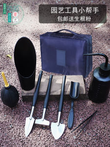 Succulent Tool Set Household Flower Planting Vegetables Loose Soil Small Hoe Gardening Supplies Flower Planting Shovel Potted Plant Three-Piece Set