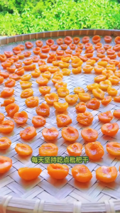 Licorice Bamboo Salt Loquat Dried Fruit