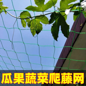 โครงไม้เลื้อยสำหรับปลูกผักองุ่นโครงสำหรับปลูกผักและผลไม้โครงสำหรับปลูกผักตาข่ายมุมถั่วโครงสำหรับปลูกผักมะระมะระมะระสำหรับใช้ในการเกษตร