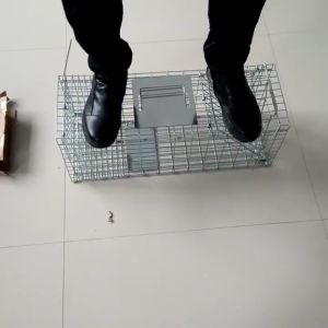 กรงแมว เหล็กเส้นชุบแมว กาว กลิ่น ลมบาง, ดื่ม กระชับมิติ, มีการรักษาสามารถพับได้, จับแมว, จับผักแมว, กระชับกับดักแมว CatTrap