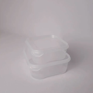 [ SG STOCK ] Food Compact Storage Box Meal Prep Containers with Lids Box Oven Dishwasher Microwave Freezer Safe