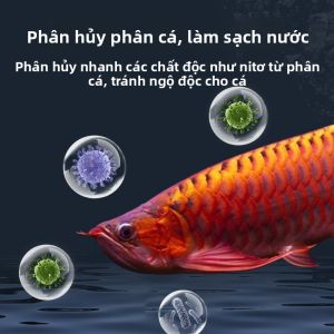 MONLEYTA | Vệ sinh nước cá chép bằng vi khuẩn nitrifying Vi khuẩn sinh học cho bể cá Nước sạch ổn định chất lượng nước