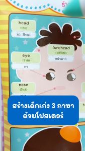 ชุดโปสเตอร์สร้างเด็กเก่ง 3 ภาษาอังกฤษ-จีน-ไทย (กล่องน้ำเงิน)