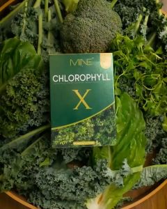 [🥦พร้อมส่ง | ส่งฟรี‼️] ของแท้💯+ของแถม คลอโรฟิลล์มายมิ้น Mine chlorophyll X ขับสารพิษ ล้างลำไส้ คลอโรฟิลล์
