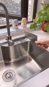 Selang Tempat Sabun Soap Dispenser/tempat sabun cair tanam botol pompa wastafel selangpanjang hitam stainless keran dapur dispenser