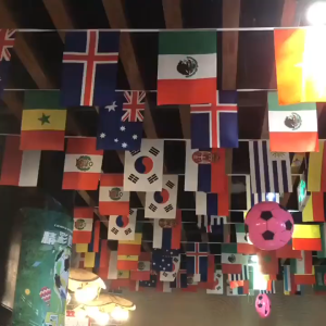 World Flags String 15m 30m Length Sports Bar Hanging Kit