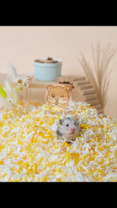 JONSANTY Paper Cotton Hamster Bedding 450G - Super Absorbent And Dust-Free For Small Pets