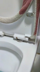 【READY STOCK】304 Stainless Steel Replacement Kit/Heavy Duty Toilet Seat Bolts/Waterproof Universal Fastener/Locking Bolt