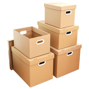 JIALEMEIJIA | Storage Box with Lid for Packing and Moving