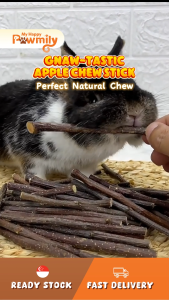 Gnaw-tastic Apple Chew Sticks & Toys - Natural Gnaw Fun for Rabbits & Small Animals