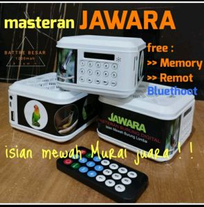 Masteran burung JAWARA MP3 murai