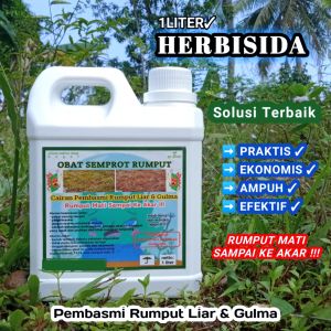 Cairan Pembasmi Rumput Liar & Gulma/Herbisida/Rumput Mati Sampai Akar/1LITER