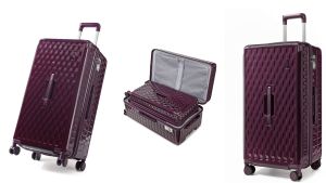 SEA CHOICE Hardside Luggage Trunk with Spinner Wheels 2-Piece Suitcase Set (24/30) Lightweight PC material with TSA Lock（Family Travel Series ）and YKK Zipper