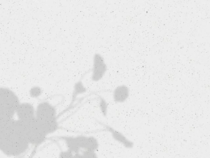 Krisbow 238pcs Rotary Tool Accessories Peralatan Bor Aksesoris Mengukir Gravir Router Mengasah Gerind Memoles Memotong Amplas Perkakas Kris