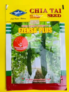 Benih gambas hibrida F1 Ezensa PLUS tahan gemini virus dari PT.BISI .Isi 10gram