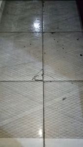 Kawat Nyamuk PVC Hitam: Solusi Perlindungan & Kebutuhan