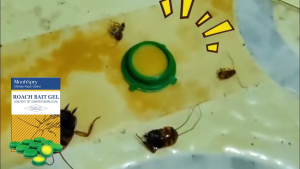 Roach Bait Gel - 0.5% Dinotefuran Formula | Effective Umpan Lipas for Home & Kitchen Long-Lasting Cockroach Control