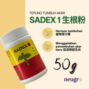 Welite Sadex 1 (50gm) Root Hormone Powder Plant Rooting Powder IBA Serbuk Penggalak Akar 催根粉 生根粉
